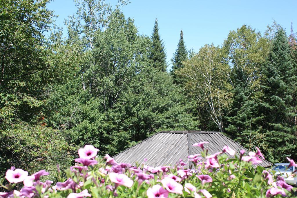 Chalets Et Studios Le Vent Du Nord