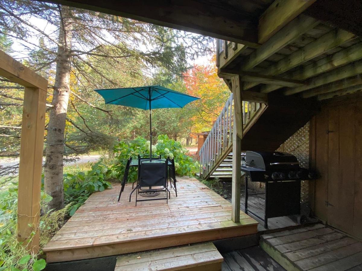 Chalets Et Studios Le Vent Du Nord Chalet *